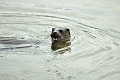 04 01 17_5293_edited-1